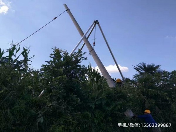 電桿 (210).jpg